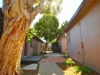 Established landscape